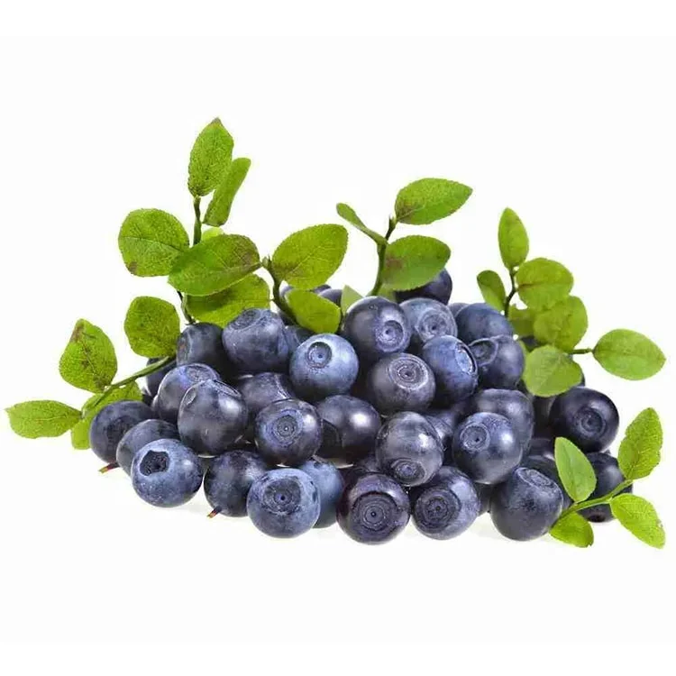 Factory Supply  Natural Extract Certified Fine  Bilberry Pure 100% Bilberry Extract Powder
