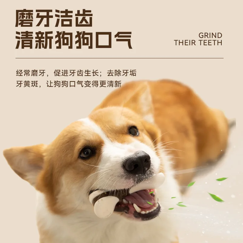 Pet toy Explosive bone teeth cleaning and grinding stick cowhide stick dog bite glue after the leg bone chew dog bite toy