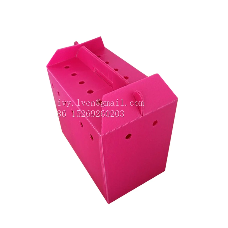 Factory Price Corrugated Plastic Bee Hive, Corflute Bee Hive