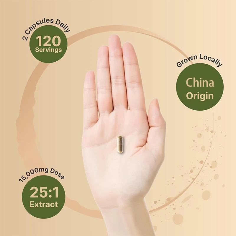 OEM Private Label Turkey Tail Mushroom Capsule Immune Health Herbal Supplements Mushroom Capsule