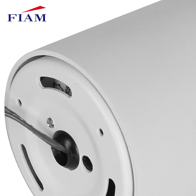 Indoor Die Cast Aluminum Housing Surface Mounted COB 10W 20W 30W Watt Led Downlight