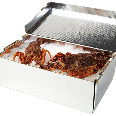 seafood frozen aluminum foil thermal insulated  food cold shipping carton box