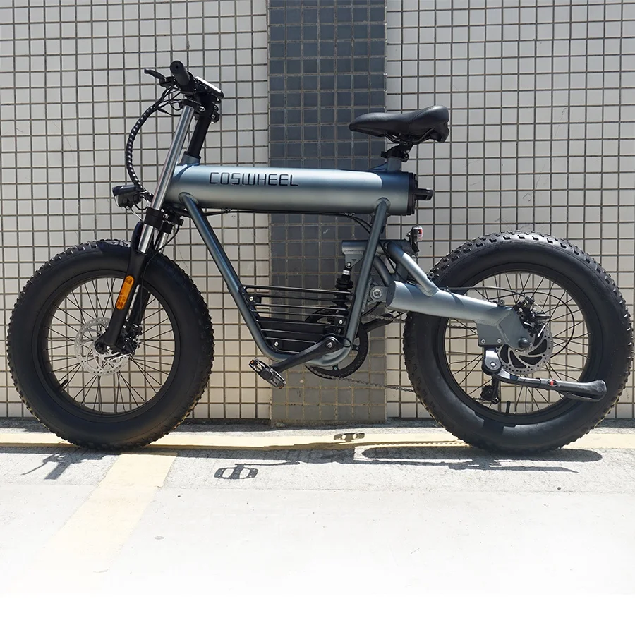 COSWHEEL Bicycle Snow Fat Wide Tire Electric Bike 1000w