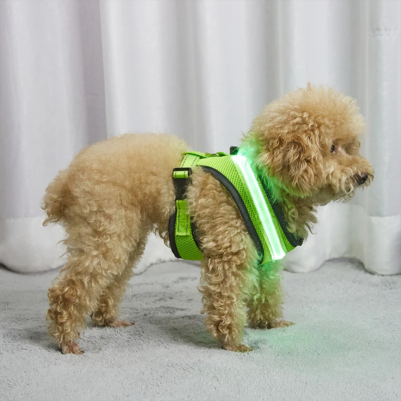 eco-friendly USB LED dog harness promotional pet safety flashing dog vest