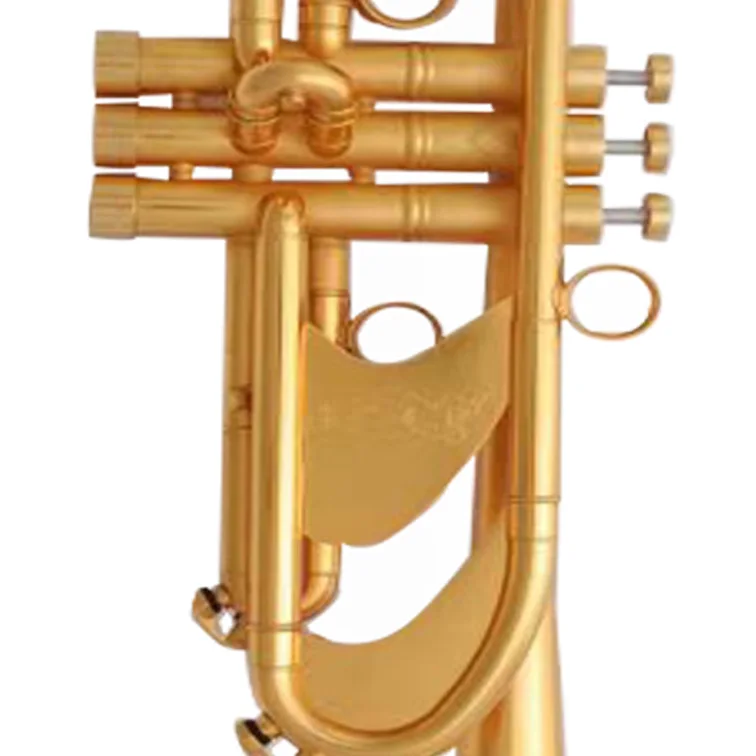 Factory directly selling Bb tuning gold plated heavy model trumpet