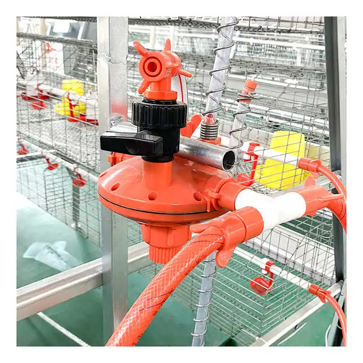 A-type Automated Chicken Coops With 4-layer Battery Cages For Poultry Farming