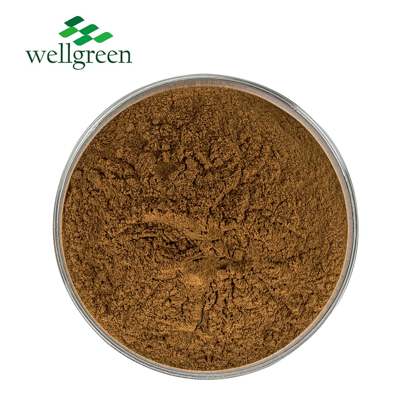 Factory Supply Pure Natural Flax Seed Extract Powder Flax Seed Lignans 20% 40% 50% Flaxseed Gum Flax Seed Extract for supplement