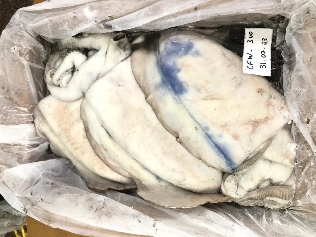 Лучшая цена целая круглая очищенная замороженная каракатица