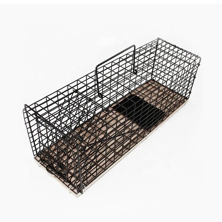 Wholesale Eco-Friendly Square Animal Design Bird Pest Trap Cage for Farm Use-Humane Mouse Wild Boar Python Rats Rabbit Traps