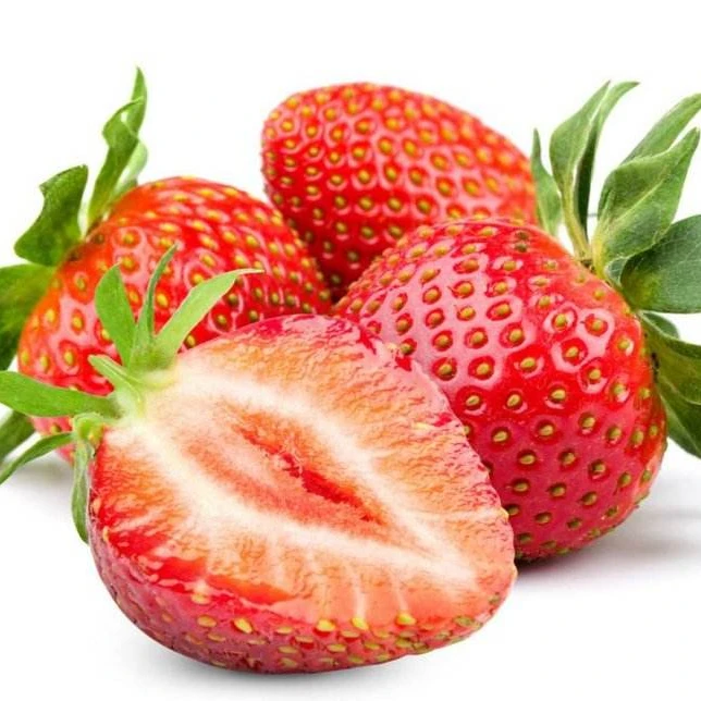 
 Высокое качество, настоящие растения, сезон, Клубничные деревья, саженцы, живые растения, дерево  