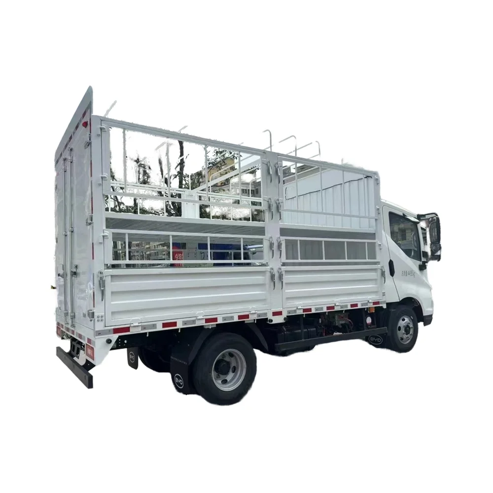 2024 BYD T5DM Electric Cargo Truck Chinese Brand BYD Fruit Vegetable Transport Vehicle 1000KM Endurance Bridge Car Control Can