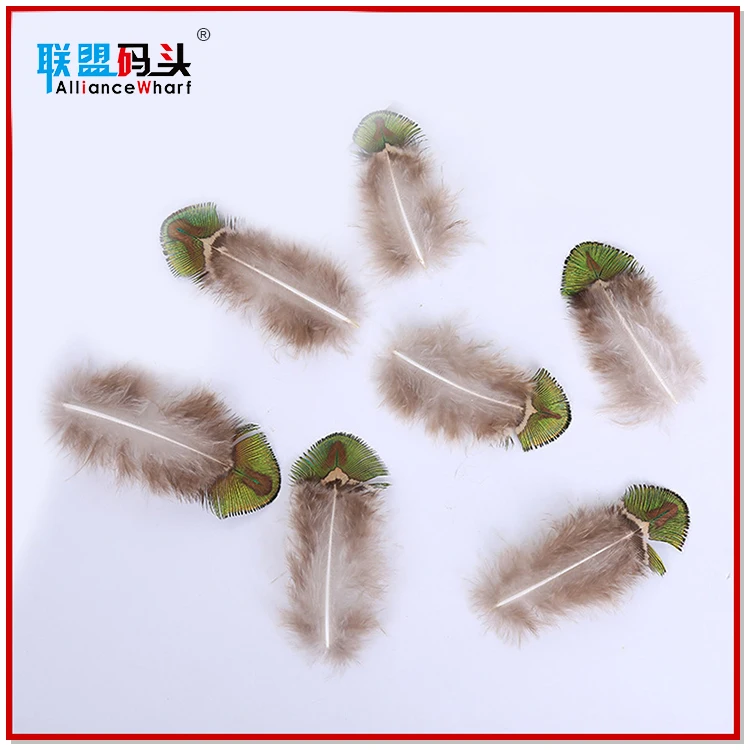 Factory Bulk Sale Cheap Natural 4-8cm Dyed Mint Green Gold Trimmed Short Small Size Peacock Feathers For DIY Clothing Decoration