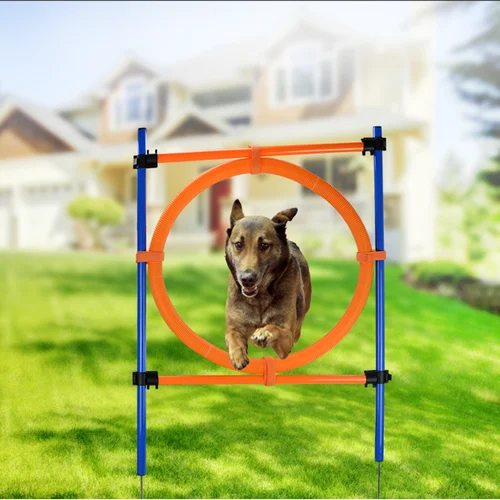 Dog  Practice Equipment Hoop Jump  Agility Dog Tire