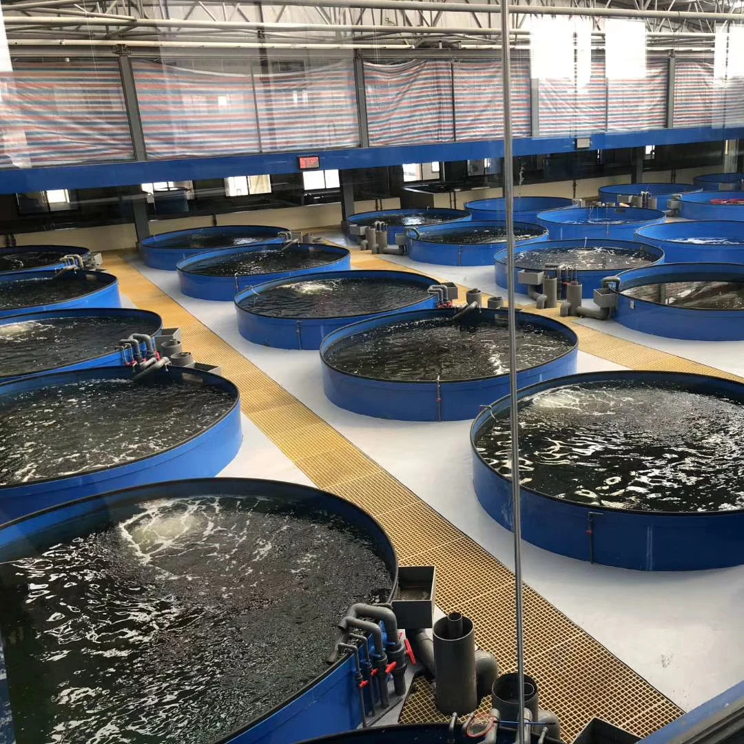 Indoor fish farming system related products CO2 stripper and Biofilter drum filter and Ozone disinfection machine