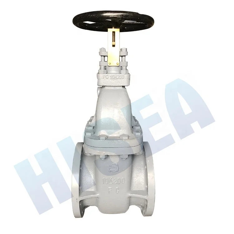 JIS 10k gate and 5K globe valve