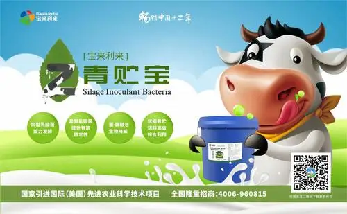 Forage Inoculants Probiotic Silage Inoculant Bacteria and Enzyme Probiotic Silage Fermentation Bacteria for Ruminants