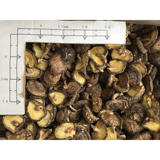 
healthy longevity Whole Raw best price export Wild dried shiitake mushroom stem 
