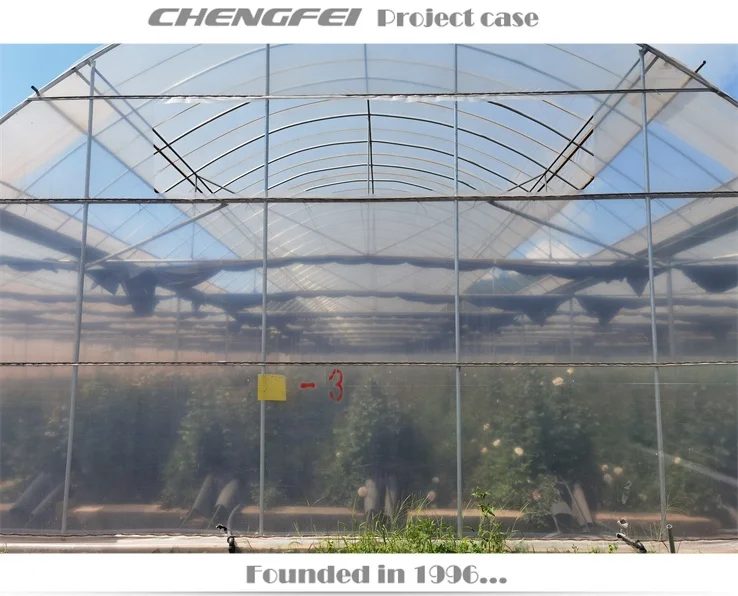 Multi-span agricultural flower vegetable plastic commercial etfe pe film greenhouse supplier for sale