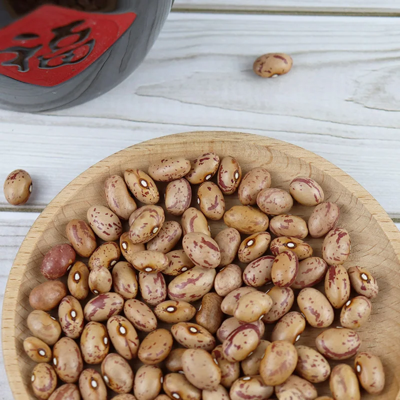 Red Kidney Beans /Speckled Kidney Beans White beans / Pinto beans for Human Consumption