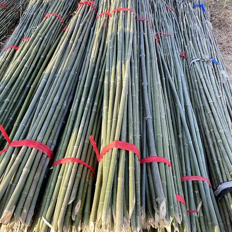 Indoor Decoration House Ceiling Partition Outdoor Fishing Pure Natural Planting Plants Bamboo Pole Price Raw Materials