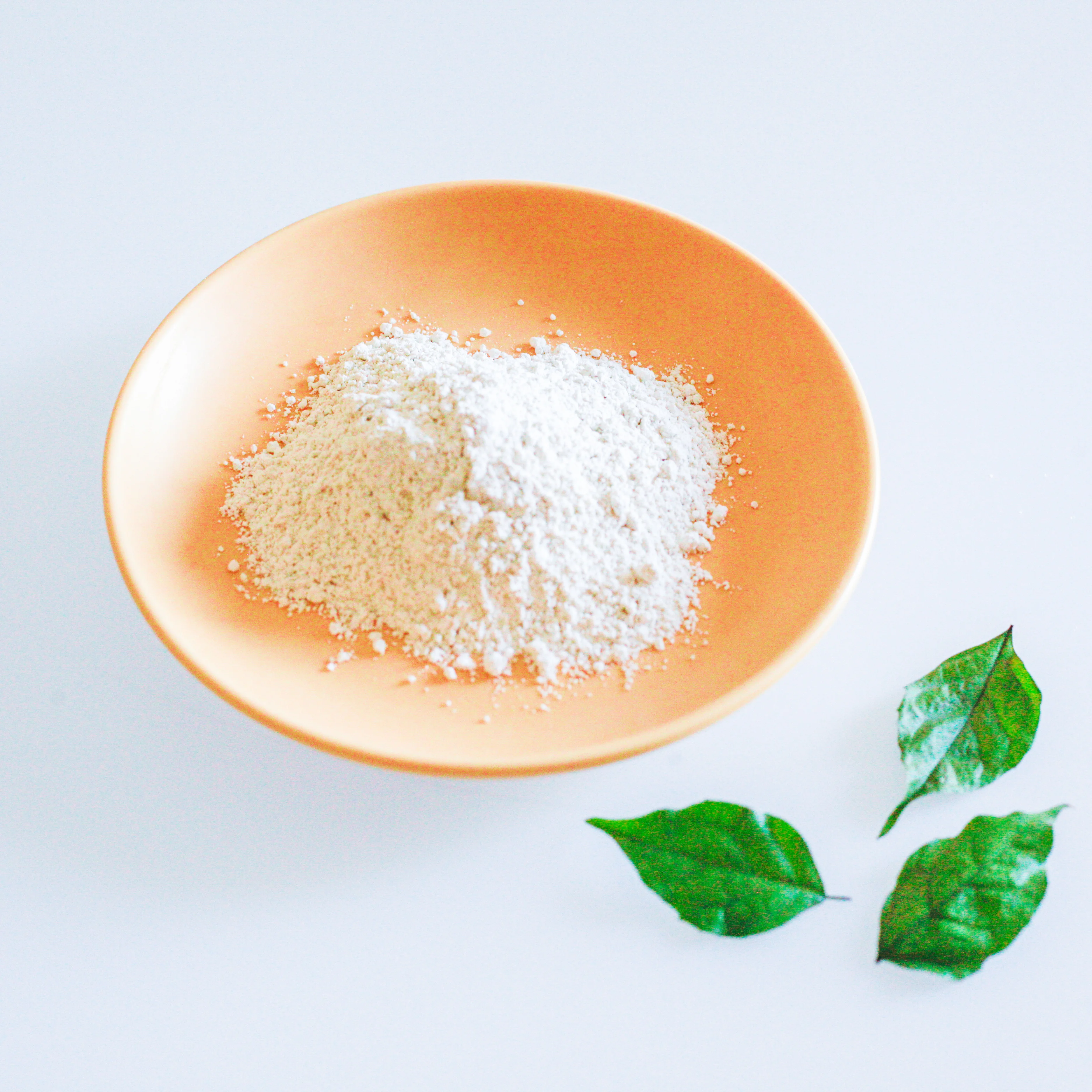 Nil Lactose Gastric Acid Resistance Probiotic Clostridium Butyricum Powder For Men And Women