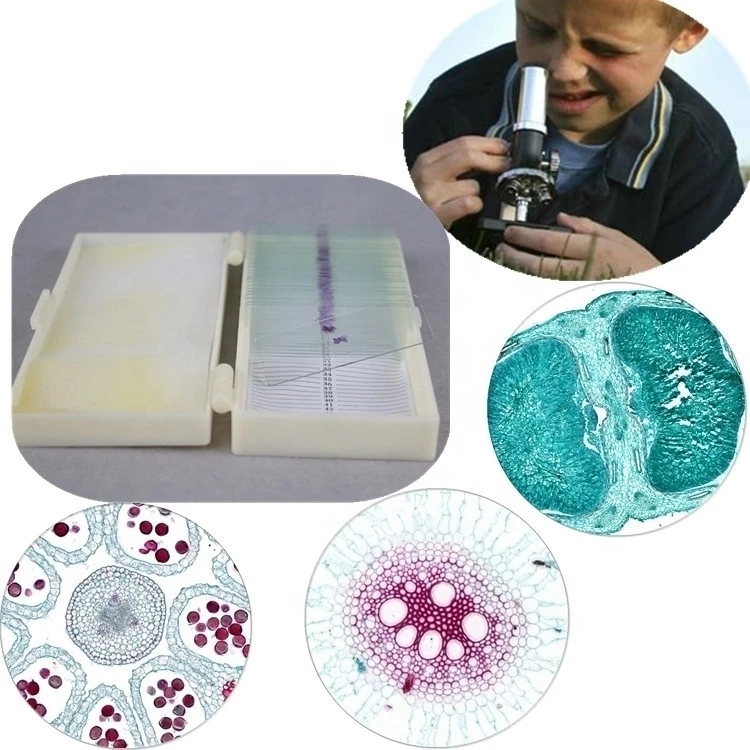 Factory Educational equipment Medical science Provide science lab researching prepared slides for kids microscope