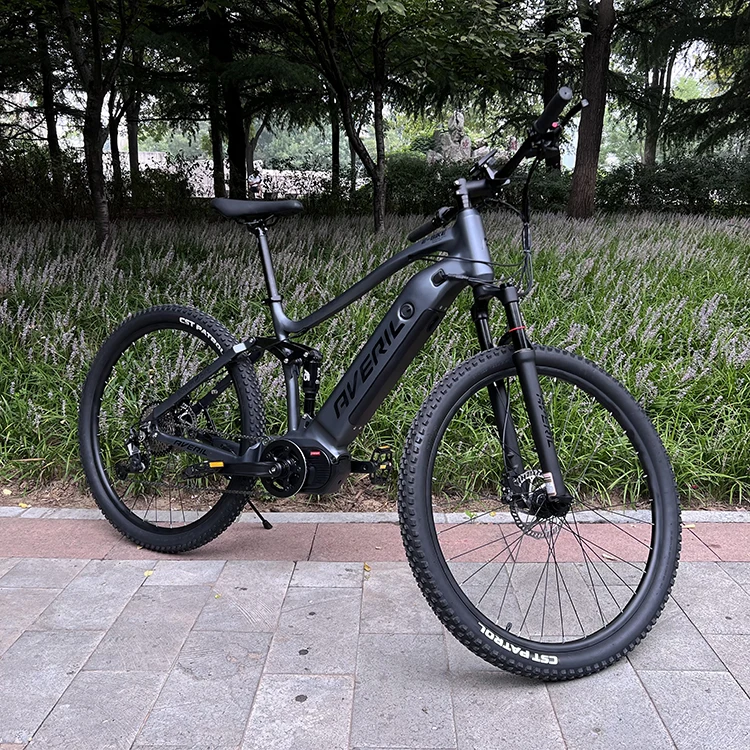 mid drive 750w electric mountain bike 29 inch 1000w eu 48V 20ah E-Bicycle 750w electric mountain bike US  warehouse