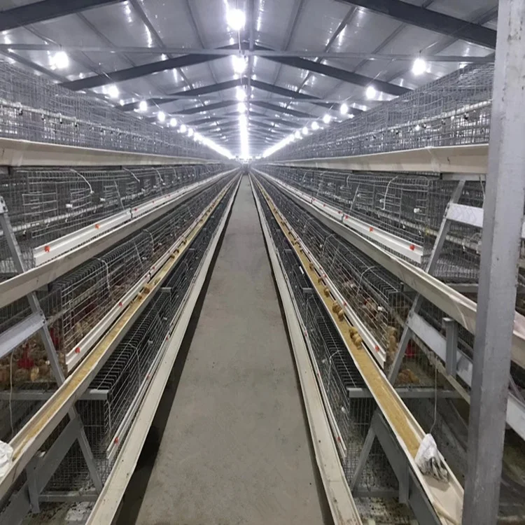 
Крупный фермерский дом для цыплят-бройлеров с питателем и Поилкой 