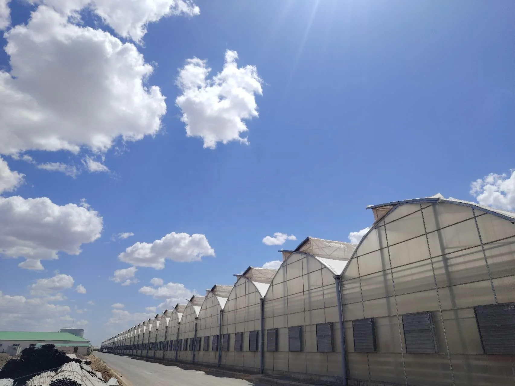 Low Cost Tomato Agricultural Gothic Multi-span Film Greenhouses for Plants Growing