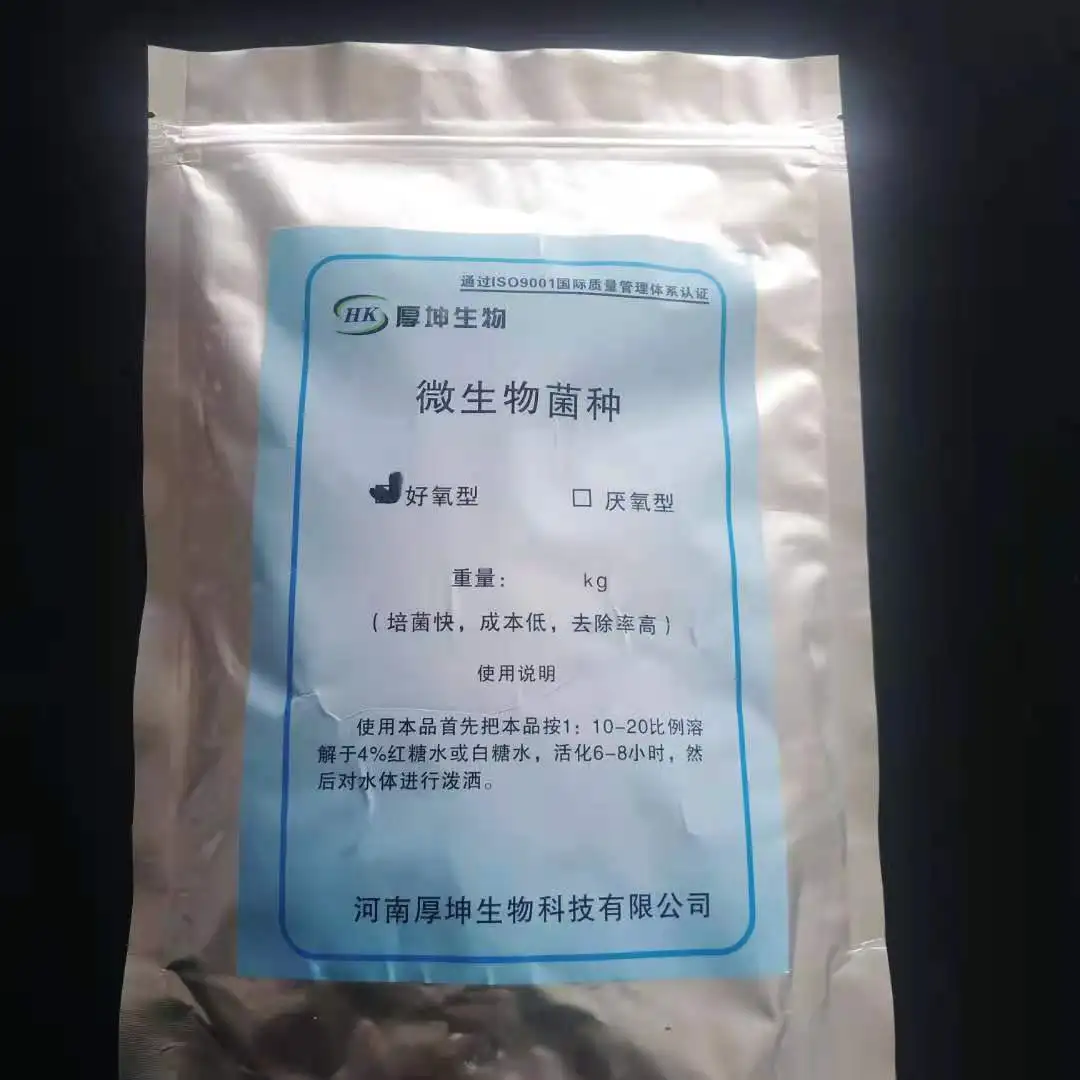 Nitrifying bacteria  aerobic bacteria Microbial species factory supply