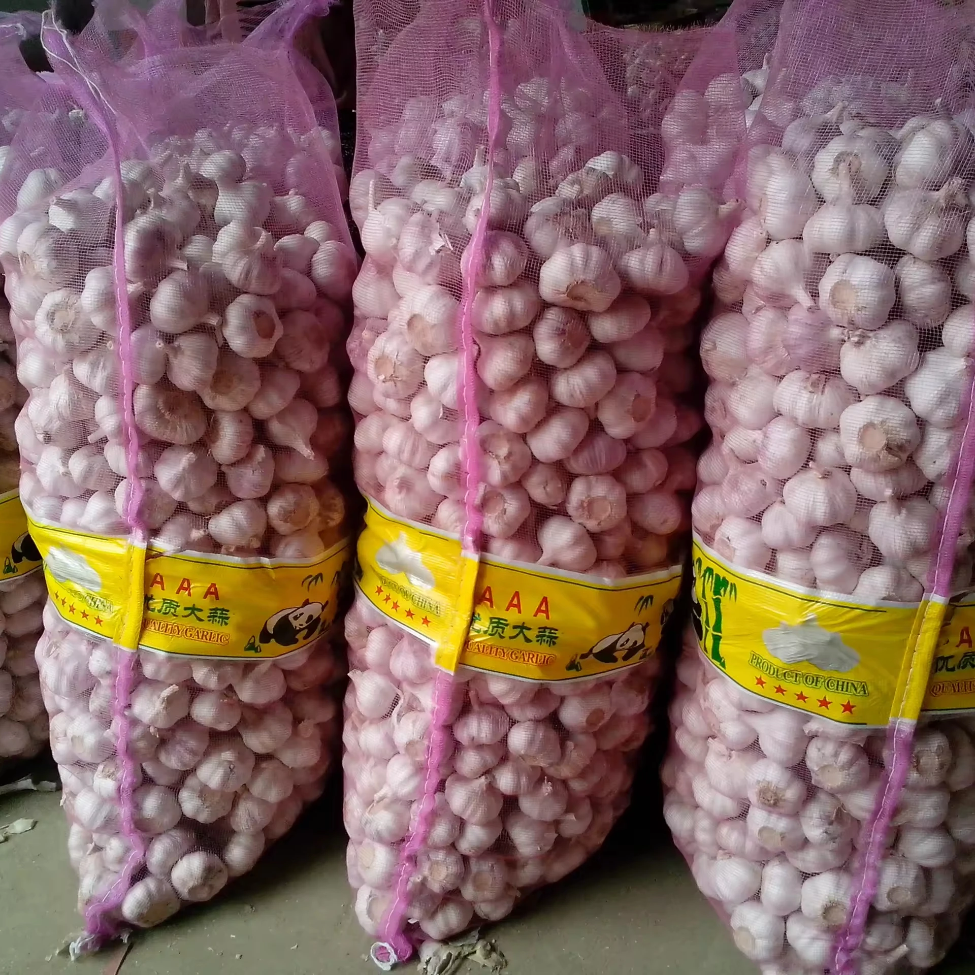 Wholesale Premium Quality New Fresh Vegetables Garlic With Cheap Price