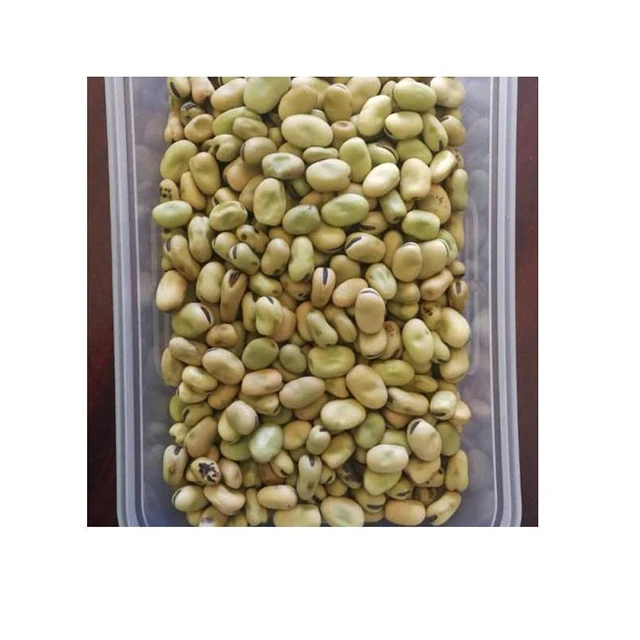 Hot Sale High Quality Delicious Ethiopian Faba Beans Broad Beans Horse Beans From Manufacturers