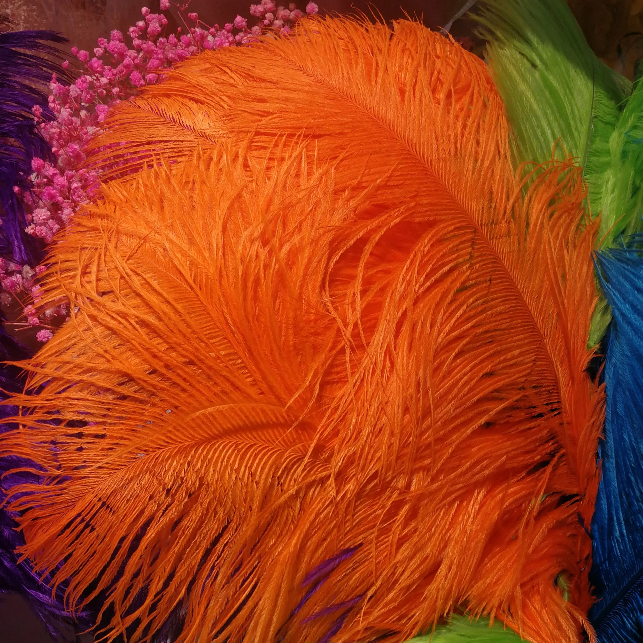 Wholesale Ostrich Feather Dyed Feathers for Decoration Flower