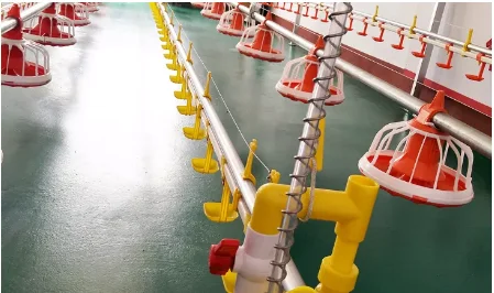 Automatic Poultry Farm Equipment Supplier Plastic Material Chicken Feeder and Drinker