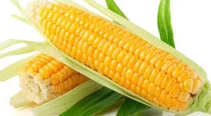 Wholesale Natural Food Canned Yellow Sweet  Corn Canned Vegetables For Eating Water Preservation