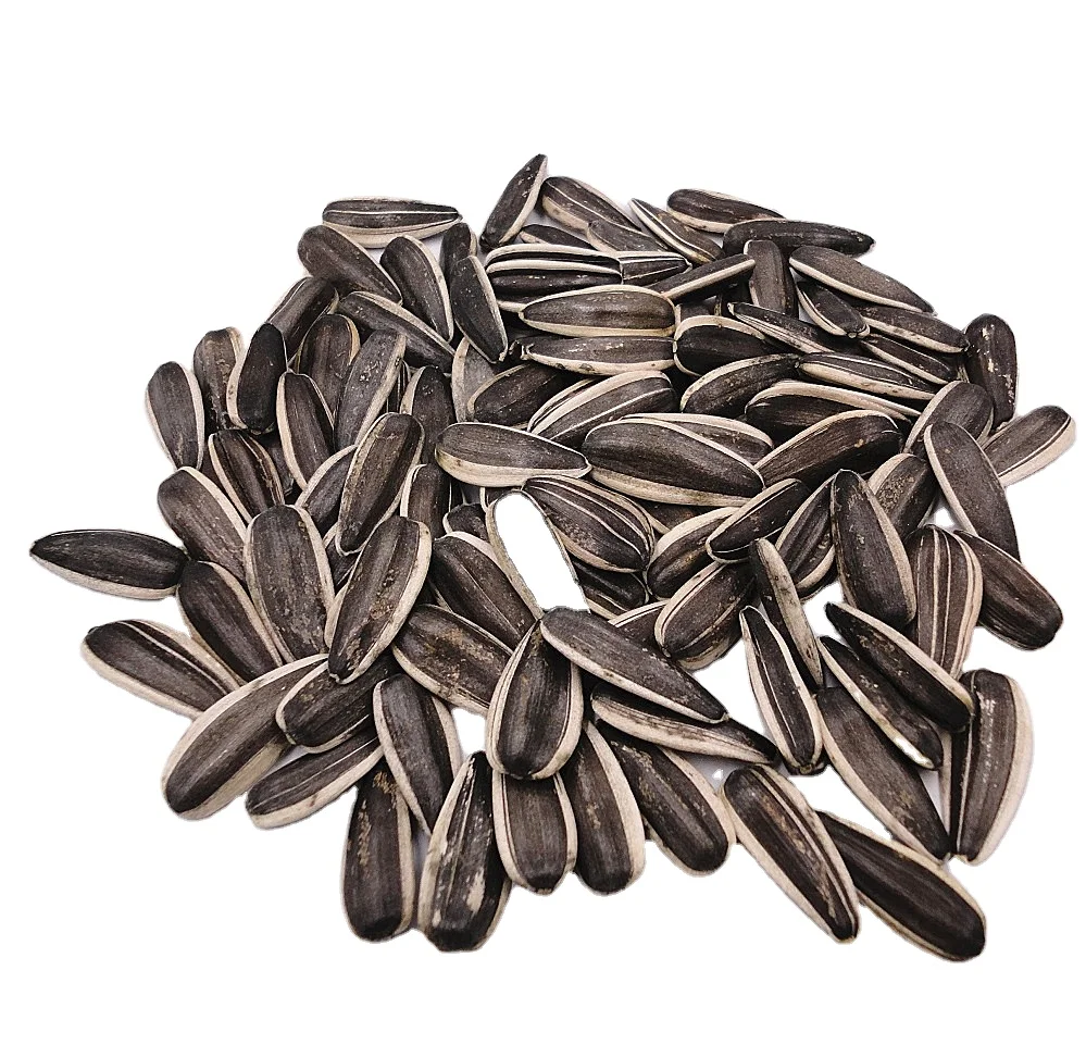 New fresh low price excellent sunflower seeds for roast