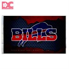 Buffalo Bills 12.jpg