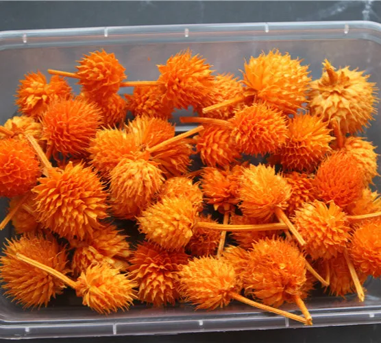 Dried Flower Strawberry Fruit Globe Amaranth Material of Handicraft