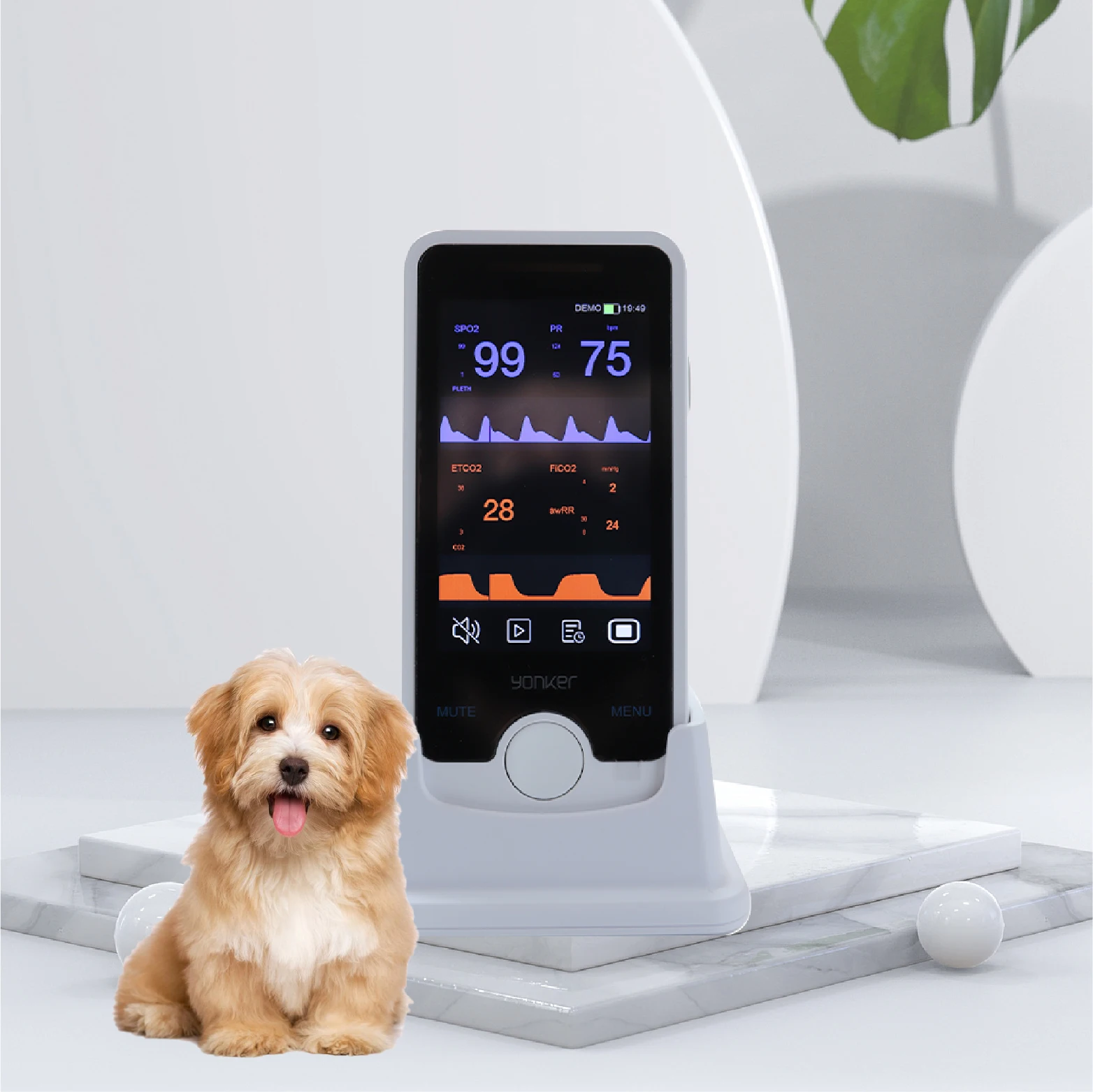 Factory Portable Handheld Vet Vital Signs Monitor Pulse Oximeters Veterinary Monitor De Signos Vitales Co2 Monitors