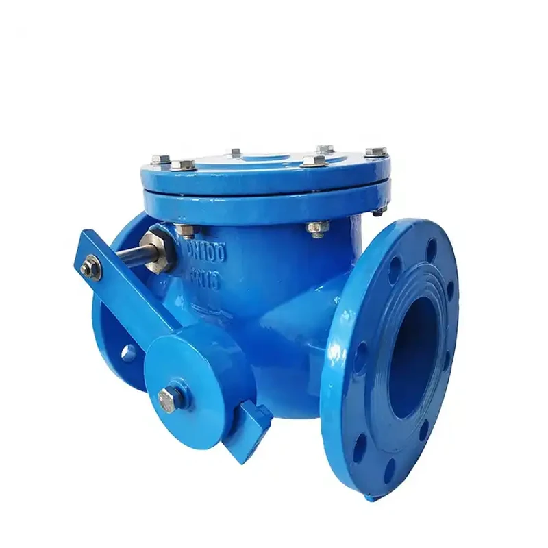 BS5153 Water Valve Ductile Iron DN500 Hydraulic Swing Check Valve PN10 PN16 Manufacturer Price