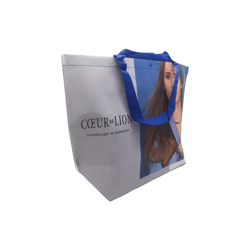 
Woven Material Laminated Promotional Custom Advertisement Bag for Shopping Good Quality PP Accept Customized Logo Promotion T/T 