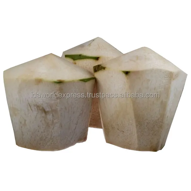 
Fresh Coconut Water In Fresh Young Coconut From Thailand Reasonable Fresh Coconut Price 