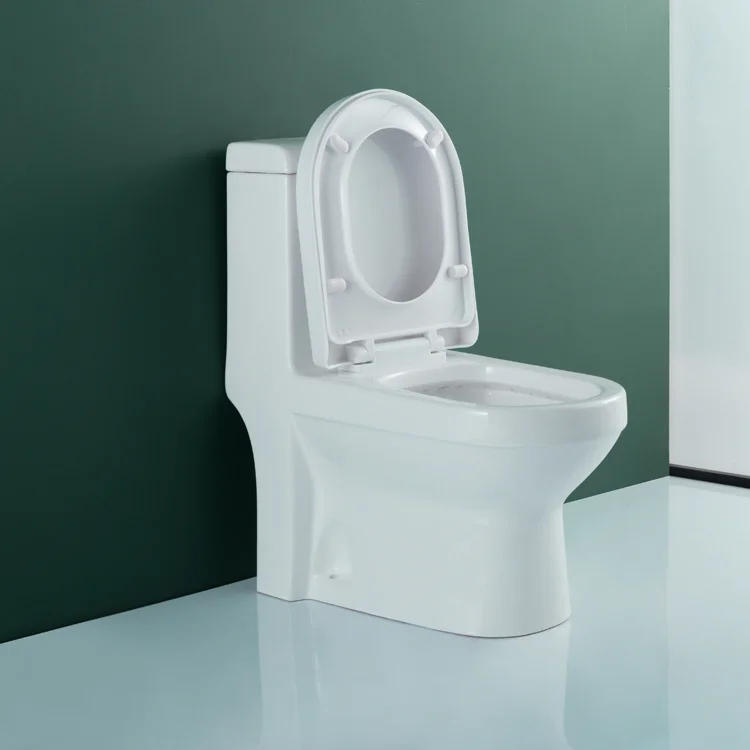 WDSI Water Less Toilet Bathroom Sanitary Ware And Accessories Toile