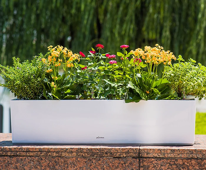 New Succulent Pots Lazy Self Watering Plastic Flowerpot Balcony Grows Vegetable To Grow Flower Big Rectangle Planting Trough