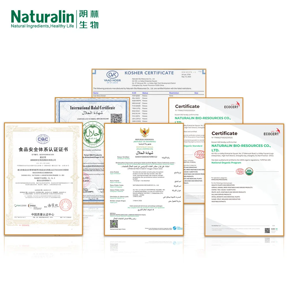 Naturalin Wholesale Customized Healthy Plant Extracts Angelica Sinensis (Oliv.) Diels Ratio TLC Assay Angelica Extract