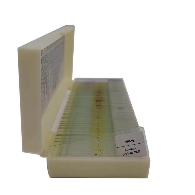 50PCS Medical Science Medical Parasitology Prepared Slides for School Microscope Prepared Slides
