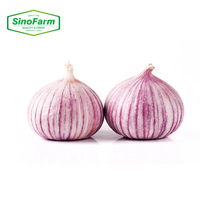 1 Clove Garlic Price Per kg