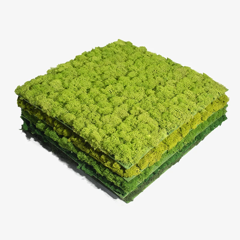 Decoration Preserved Reindeer Moss Tile Home Decor Adhesive Moss Sheets Green Moss Wall Panel