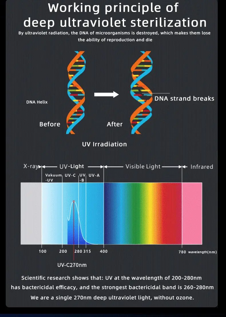 OEM 2021 Ansimi 4 in 1 UVC Light Toothbrush Sanitizer Holder Rechargeable Toothbrush Storage & Sterilizer Box