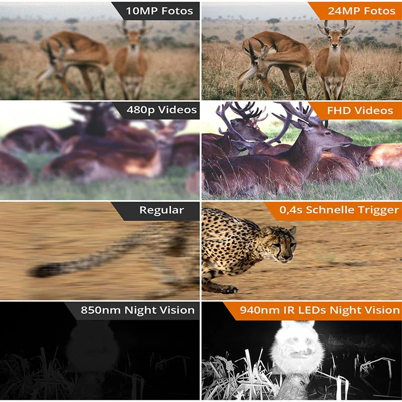 Top 10 Waterproof 24MP Night Vision Wildlife Security Hidden Camera